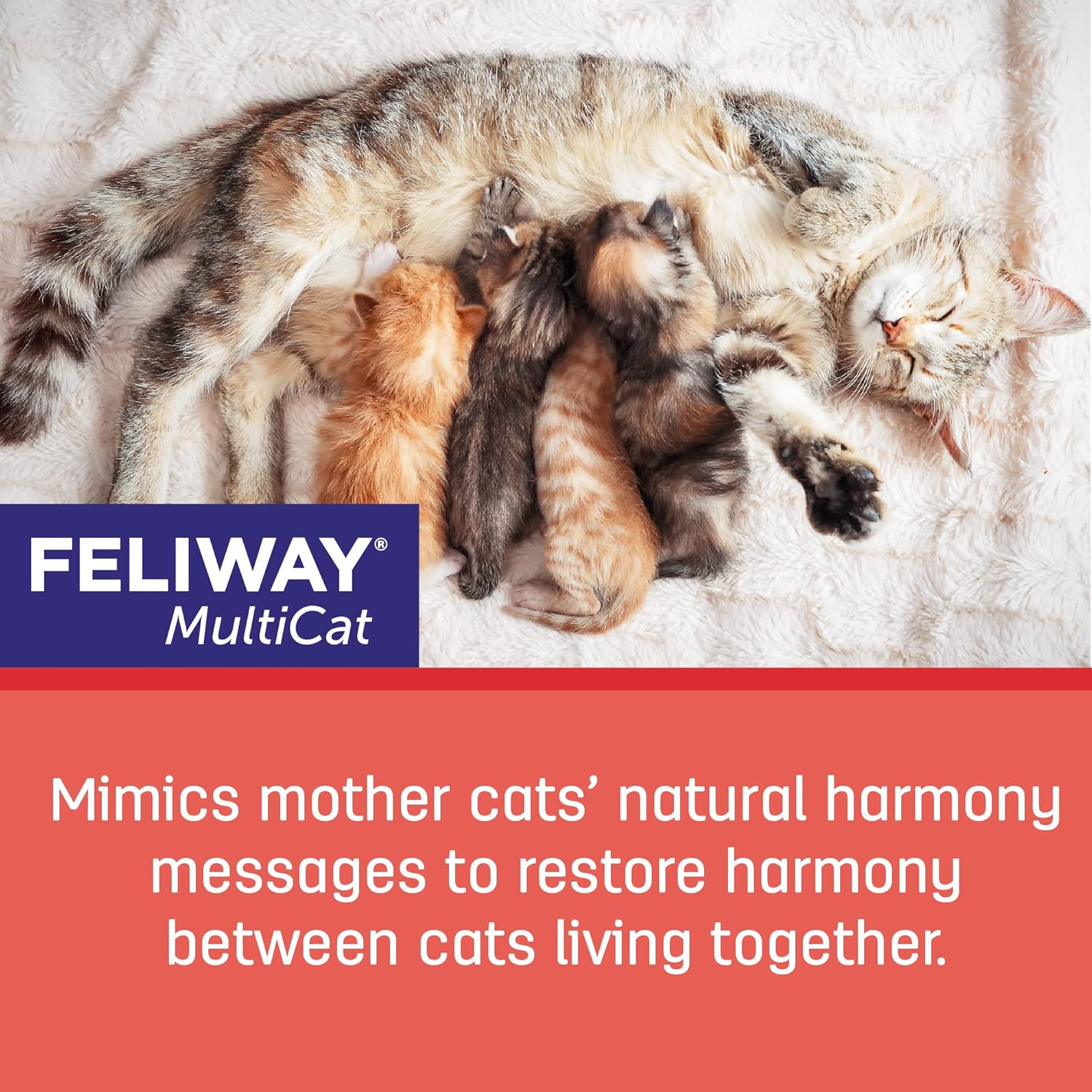 Deals multi cat pheromone diffuser